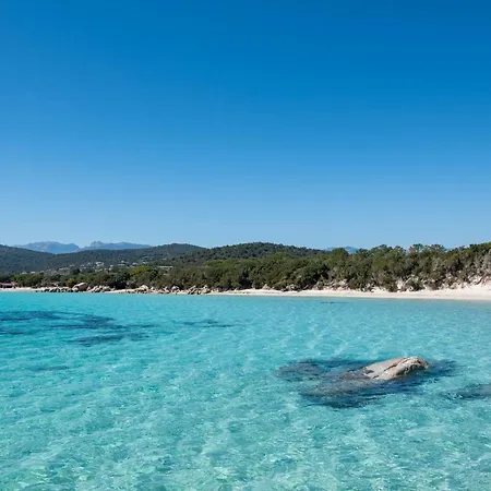 Dolce Vita - Maison De Vacances En Corse * Porto-Vecchio